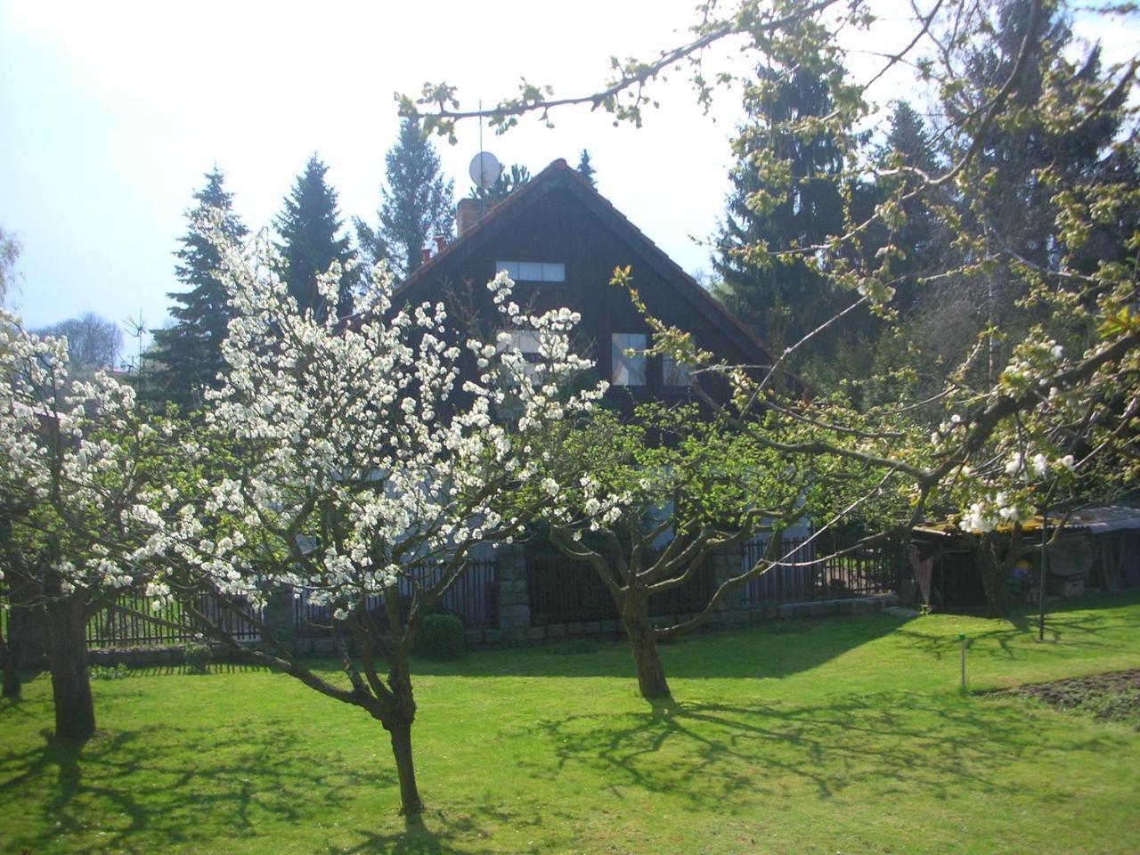 Conifer Idyllicprague Casa de férias