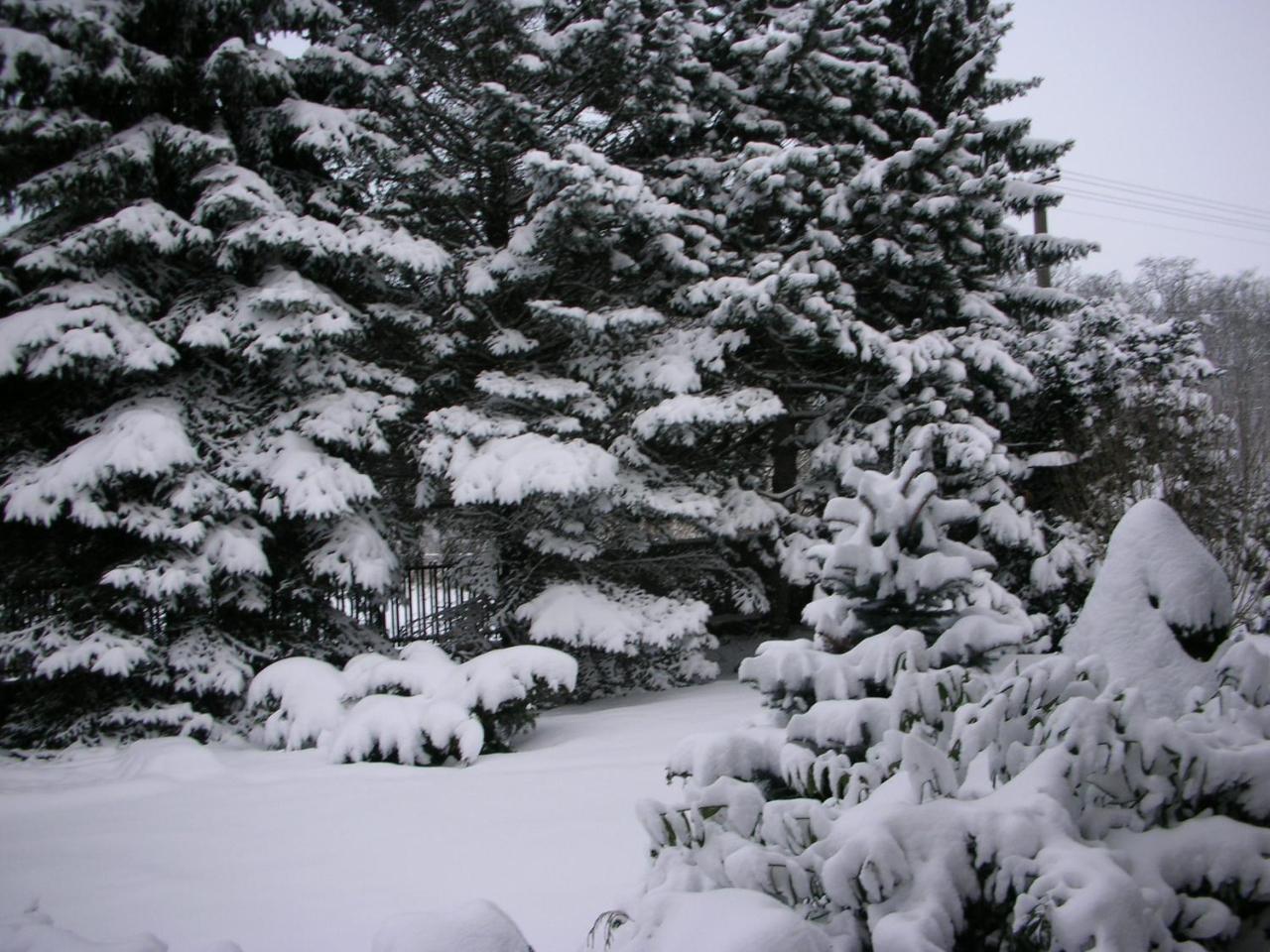 Casa de férias Conifer Idyllicprague Praga